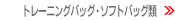 �g���[�j���O�o�b�O�E�\�t�g�o�b�O��